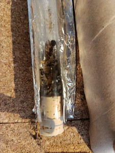 Ursprünliches, warmes Reagenzglas.jpg