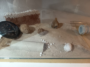 Der Kleber für den Klimamesser war wohl keine gute Idee.