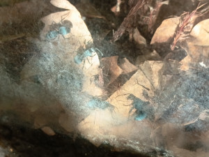 Ich muss auch da unten unbedingt mal wieder die Fenster putzen.