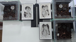 Bild_2026-04-05_133735773.png (1.21 MiB) 116 mal betrachtet Gesamtübersicht