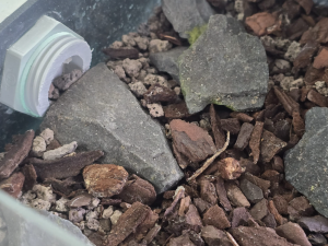 Bild_2026-04-05_134110065.png (1.12 MiB) 116 mal betrachtet Gestaltung, Pinienrinde und Granulat