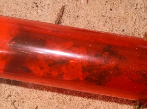 Screenshot 2026-04-10 110456.png