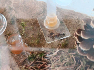 Screenshot 2026-04-10 110500.png