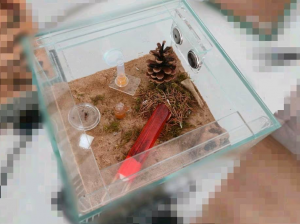 Screenshot 2026-04-10 110504.png