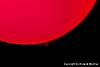 Sun-01-(450)+C.jpg
