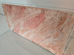 Formikarien-Rückwand