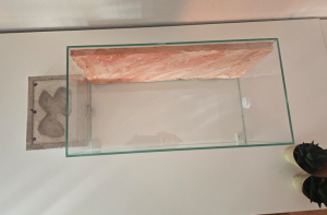 Formikarien-Draufsicht