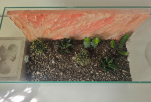 Draufsicht I Zwischenschritt