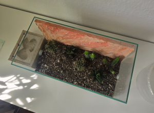 Draufsicht I Zwischenansicht