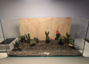 Zwischen-Ansicht Frontansicht