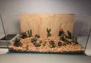 Zwischen-Ansicht Frontansicht