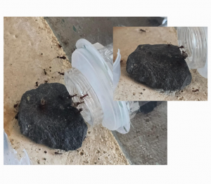 Hürden / Hindernisse / Höhenunterschiede ausgleichen