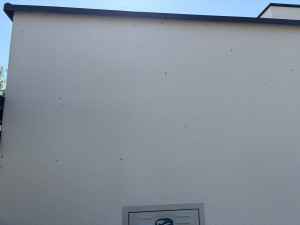 IMG_3144.jpeg