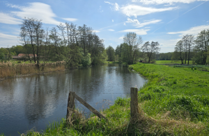 Die Neetze I  Neetzer Brücke (Ortseingang)