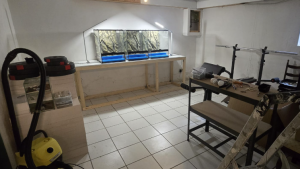 Bild_2026-05-08_184108630.png