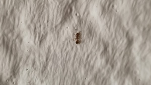 IMG_6569.jpeg