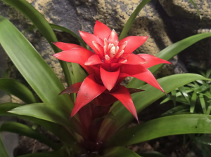 Farbenfrohe Vielfalt