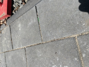 Foto10