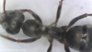 Foto5