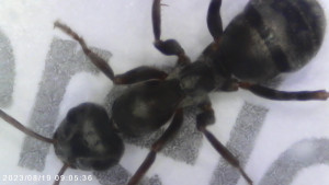 Foto2