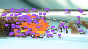 ant_count2.jpg