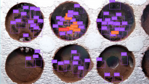 ant_count3.jpg