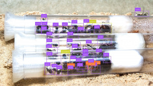 ant_count4.jpg