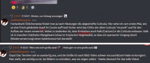 Detail des Fake