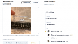 Screenshot 2026-06-04 121039.png