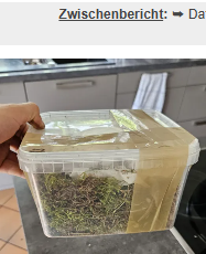 Transport-Box mit Moos