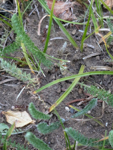 PXL_20260620_154442339.jpg