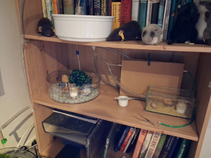 20260622_092416.jpg